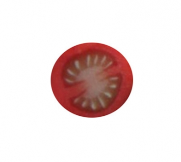 Fimo-Stick Tomate